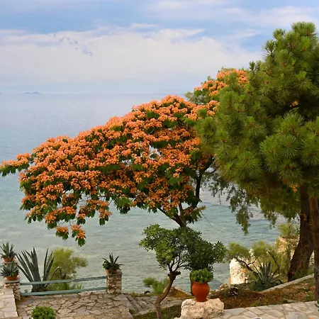 Kiparissi Halkidiki Vilă